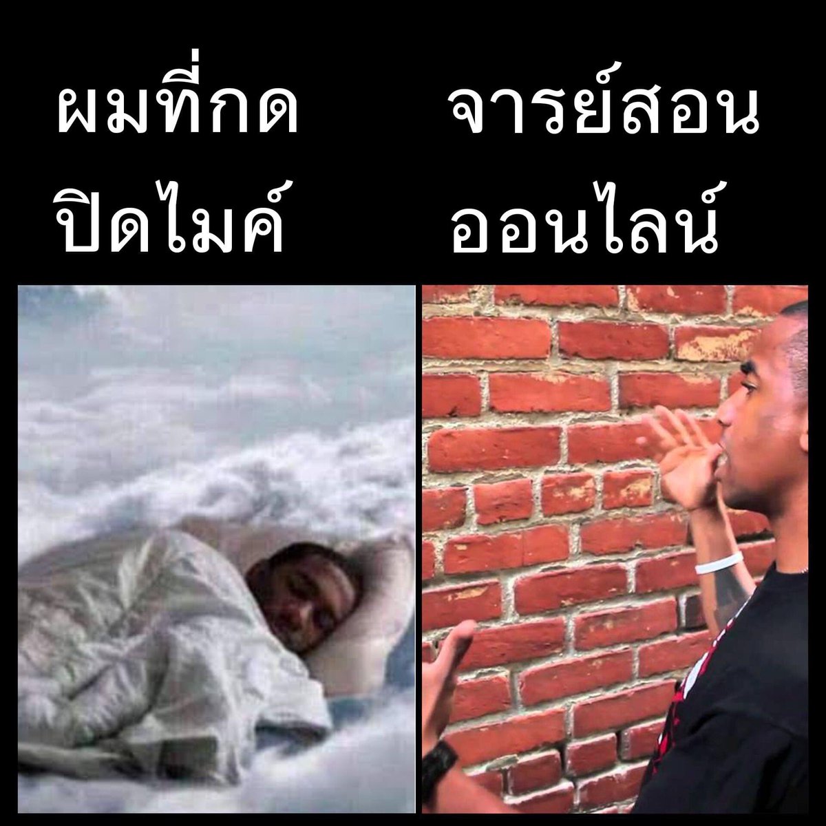 ช่างแม่ง🐰🏳️‍🌈 tweet media