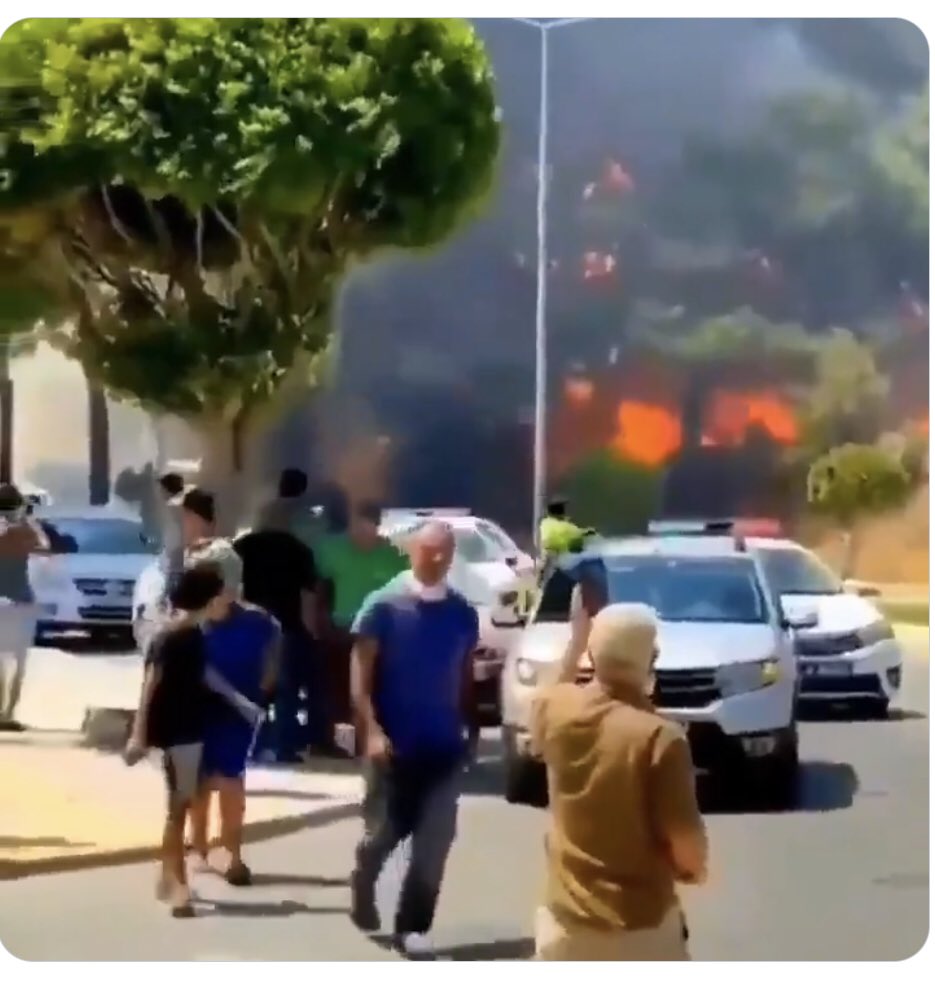 Can kaybı yok diyorsunuz Ya

Yanan ağaçlar canımız değil mi

Karıncasından kuşuna canımız değil mi

 #Manavgat