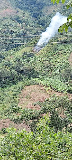 Existe la necesidad de restaurar los suelos en Colombia, la mayor vulnerabilidad está en el Caribe y los pie de monte, en donde los suelos están profundamente ligados a la producción agropecuaria. Las prácticas de rosa y quema son nefastas para los microorganismos del suelo