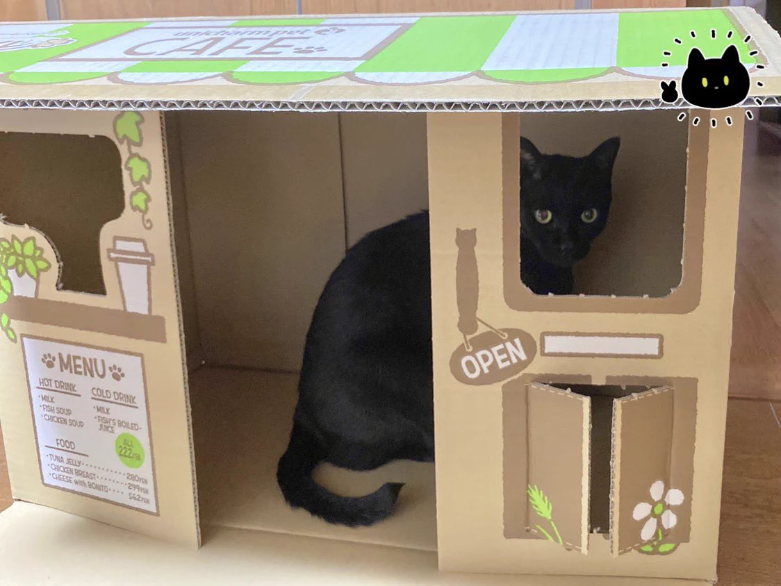 愛猫にカフェをプレゼント！しかし裏口が欲しくなった猫の行動に度肝を抜いた！ｗｗ