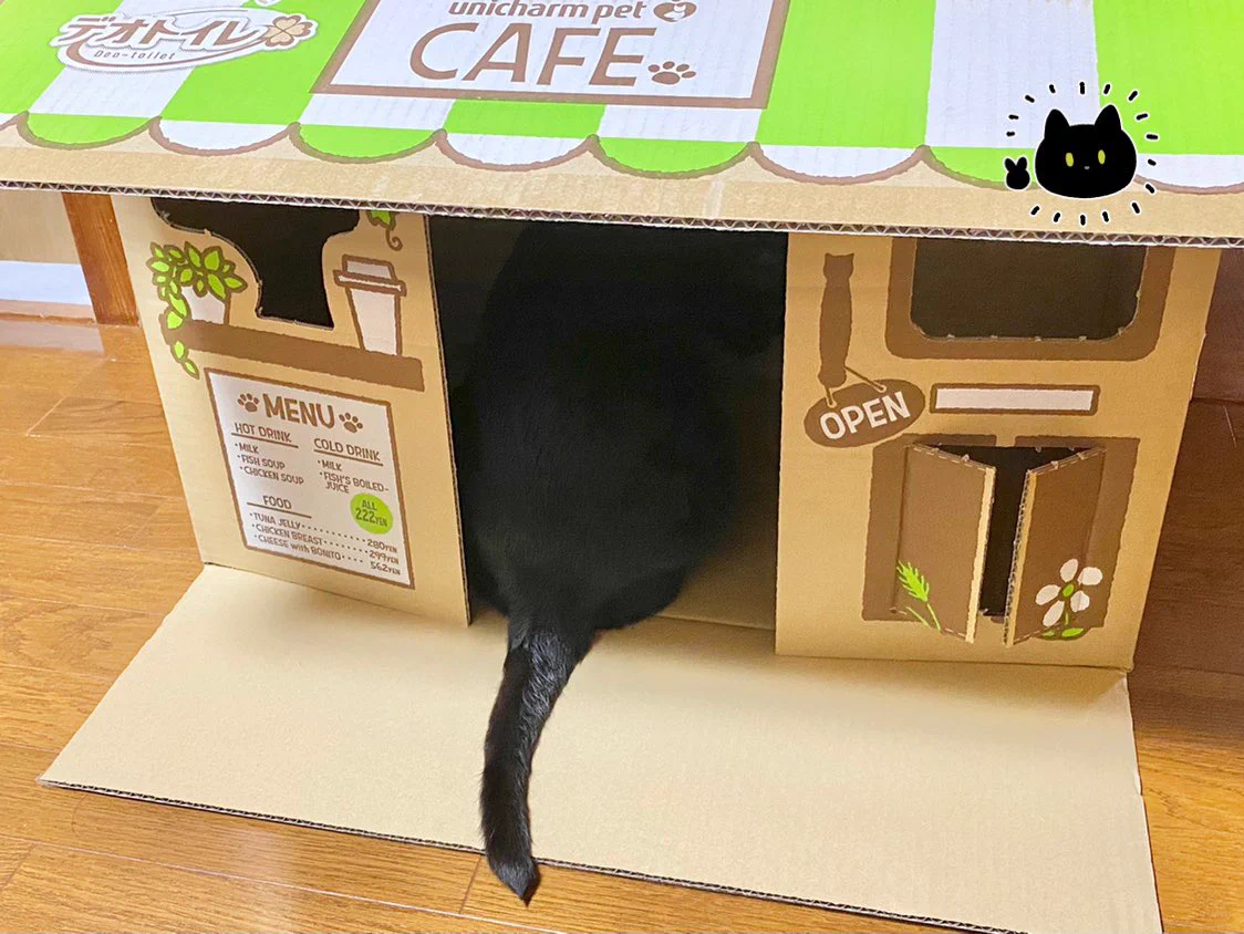 愛猫にカフェをプレゼント！しかし裏口が欲しくなった猫の行動に度肝を抜いた！ｗｗ