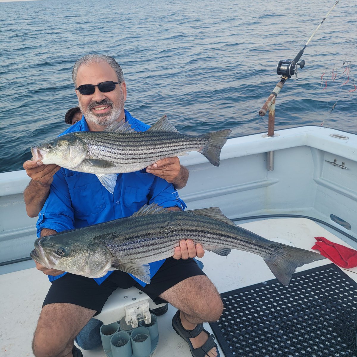 IWMS_pack's tweet image. Great day fishing with Adventure Charters. Caught 17 striper on a few hours with the boys. #recharge
