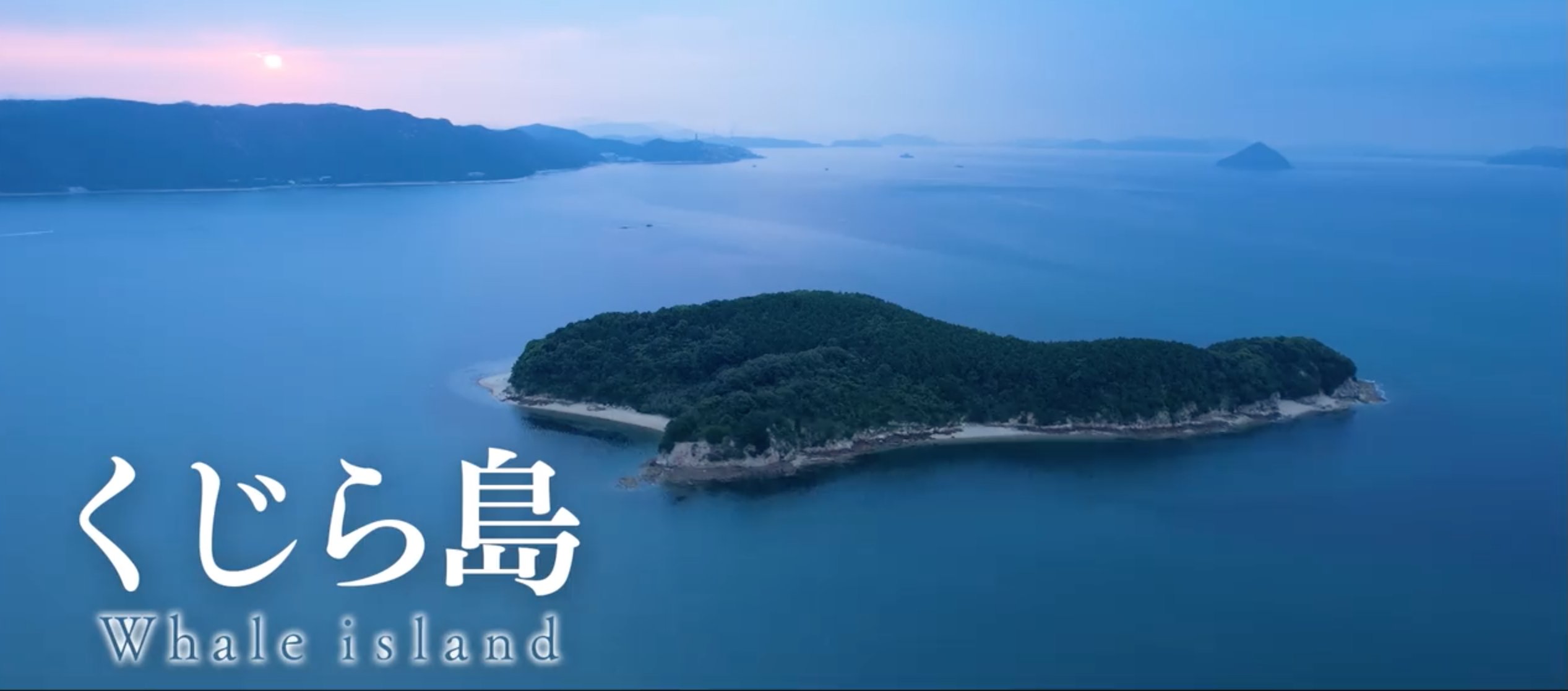 くじら島 Twitter Search Twitter