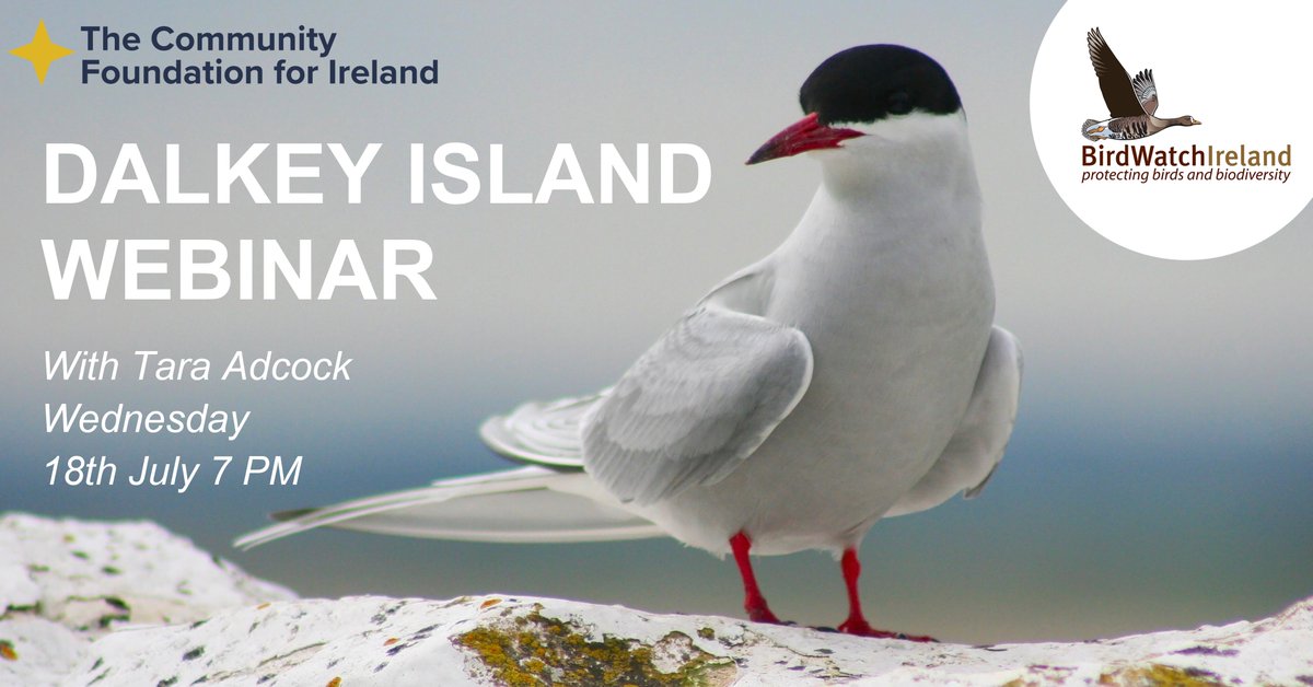 BirdWatch Ireland tweet media