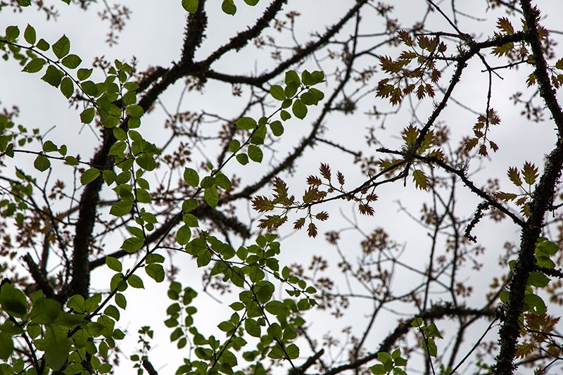 Fall Exhibition Schedule - mailchi.mp/ba22708a4afa/f…