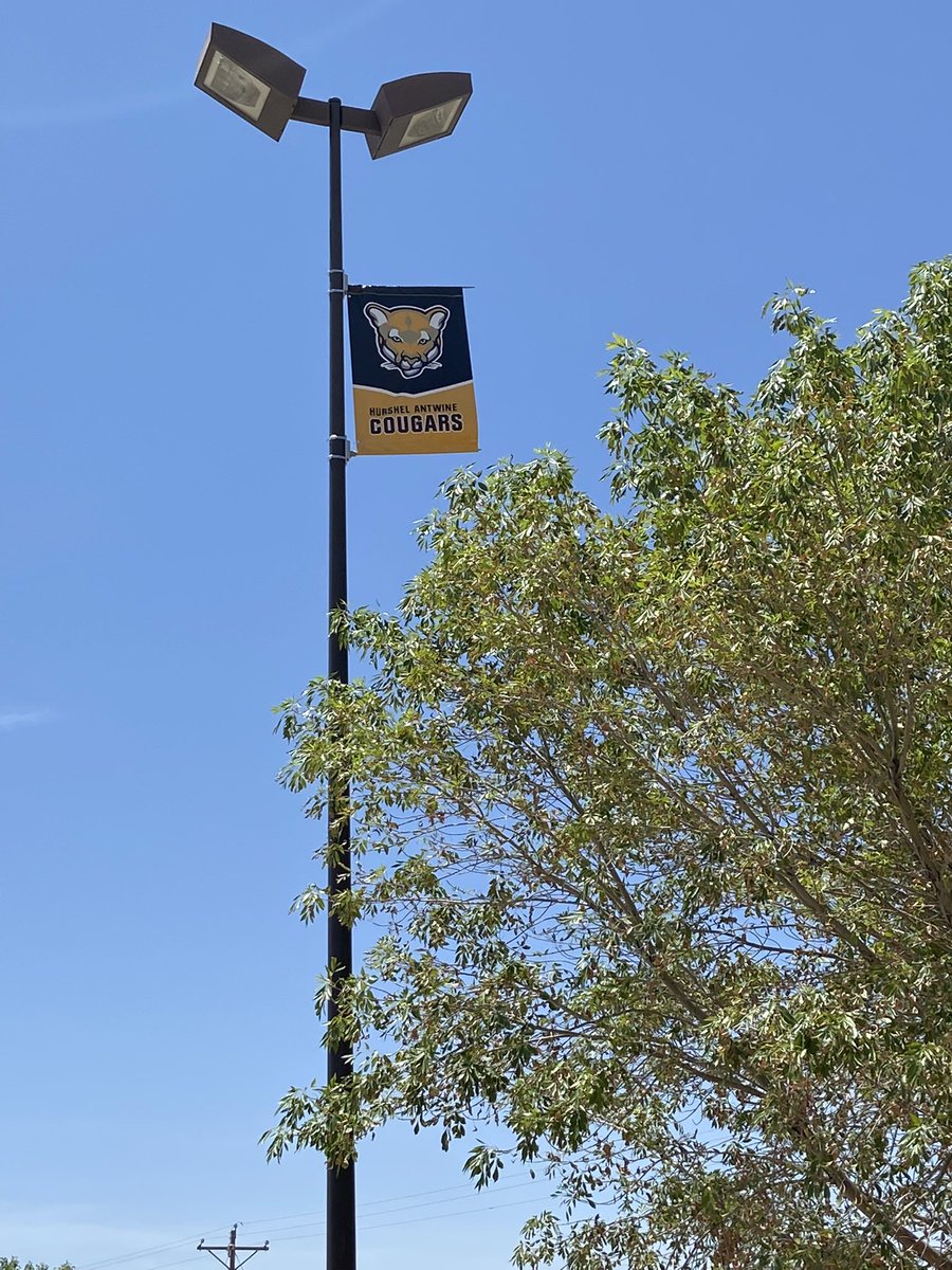 Our new school banners are awesome. #reigniteourpurpose <a href="/HAntwine_MS/">Patricia Pedroza</a> @RMarquez_AMS <a href="/MChavez_AMS/">Monica Chavez</a>
