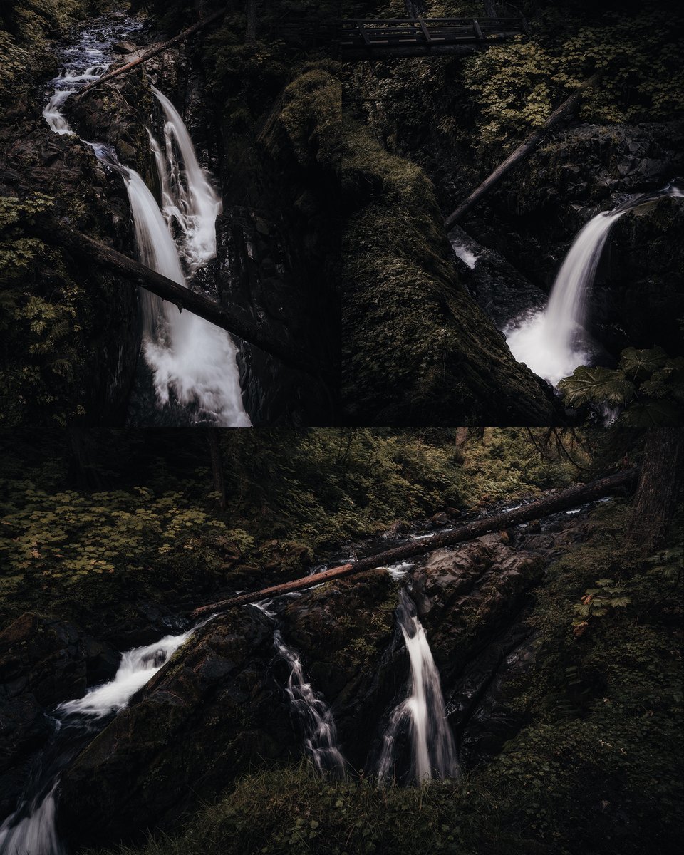 Jeff Mihaly tweet media