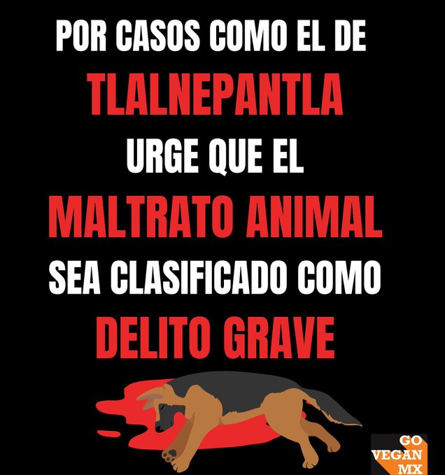 issa_cacher's tweet photo. Con este tipo de cosas me doy cuenta que la sociedad va de mal en peor.
Ningún animalito debería de ser violentado de esa manera.
Exigimos justicia para Silver  
 #JusticiaEnTlalne 
#justiciaparasilver https://t.co/O4zDthGIae