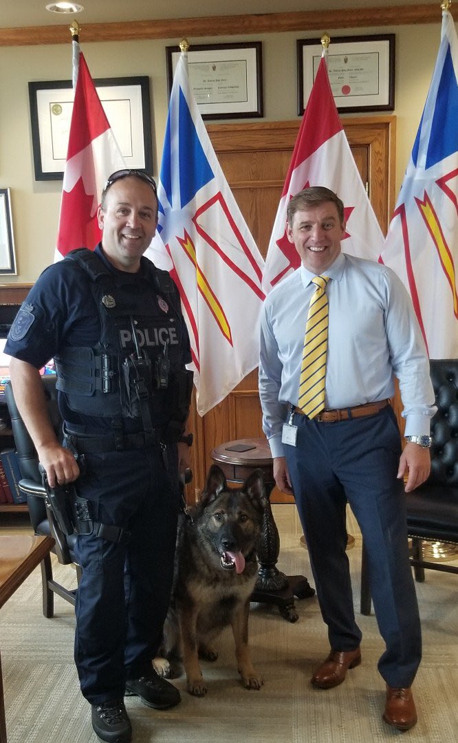 RNC_PoliceNL's tweet photo. Cst. Kennedy and PSD Gunner had a great visit with @PremierofNL today while providing support to @RCMPNL during the visit by Prime Minister @JustinTrudeau! #PoliceServiceDog #YourRNC #K9Unit https://t.co/gVPdWh0kfg