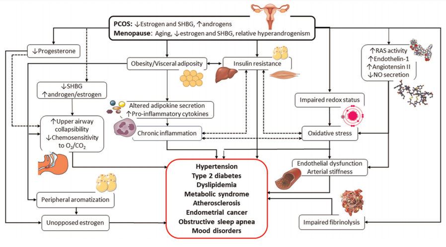 doctorneyro's tweet photo. #Women with #PCOS at #reproductiveage have increased #risk and #prevalence of #prediabetes and #diabetes and have multiple #riskfactors for #cardiometabolicdisease and other #comorbidities.
#menopause. #aging #saludelamujer #enfermedadcardiovascular
https://t.co/QzkOWF8yDy https://t.co/zQBGvXUZNI