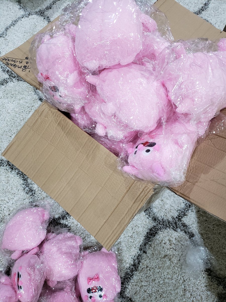 k1mberlytoon's tweet photo. The big boys are home! They'll be hitting the shop on Friday 😇 https://t.co/gG9NiQEnMJ