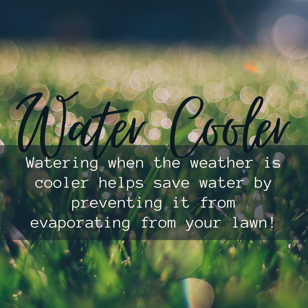 North Plains GCD tweet media