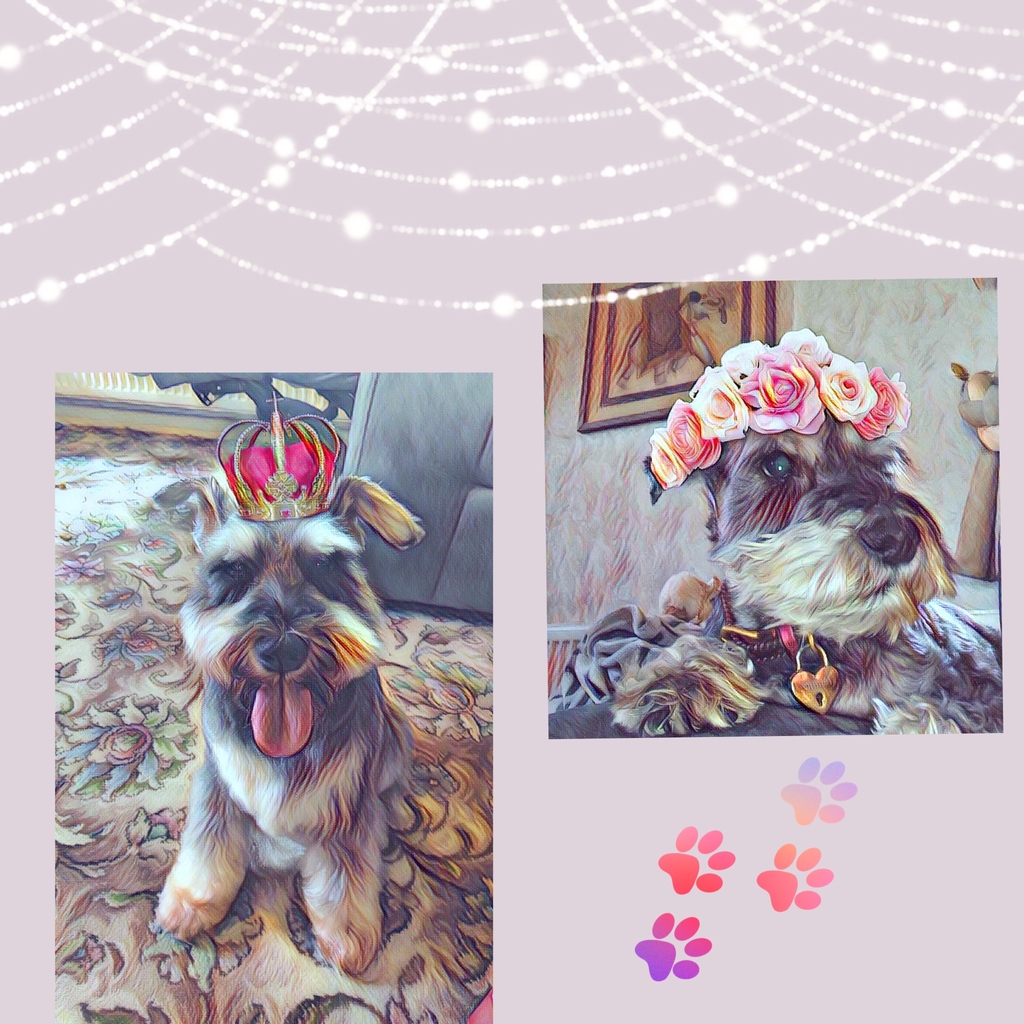 Untameduk tweet media