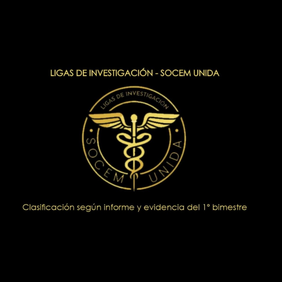 SOCEM UNIDA tweet media