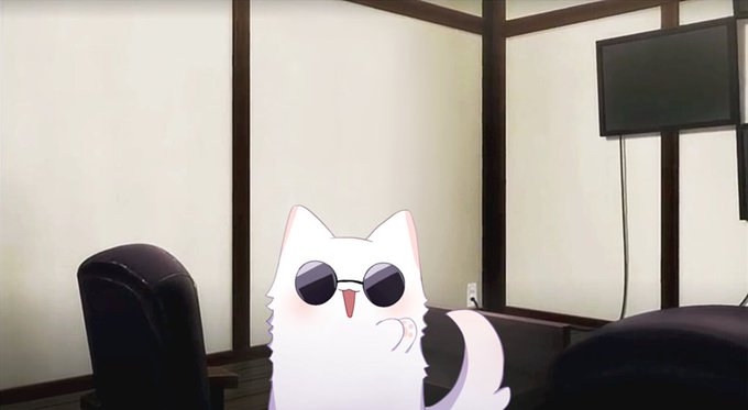 3 pic. cat gojo ??

#JujutsuKaisen #GojoSatoru https://t.co/yMbNXVFmb2