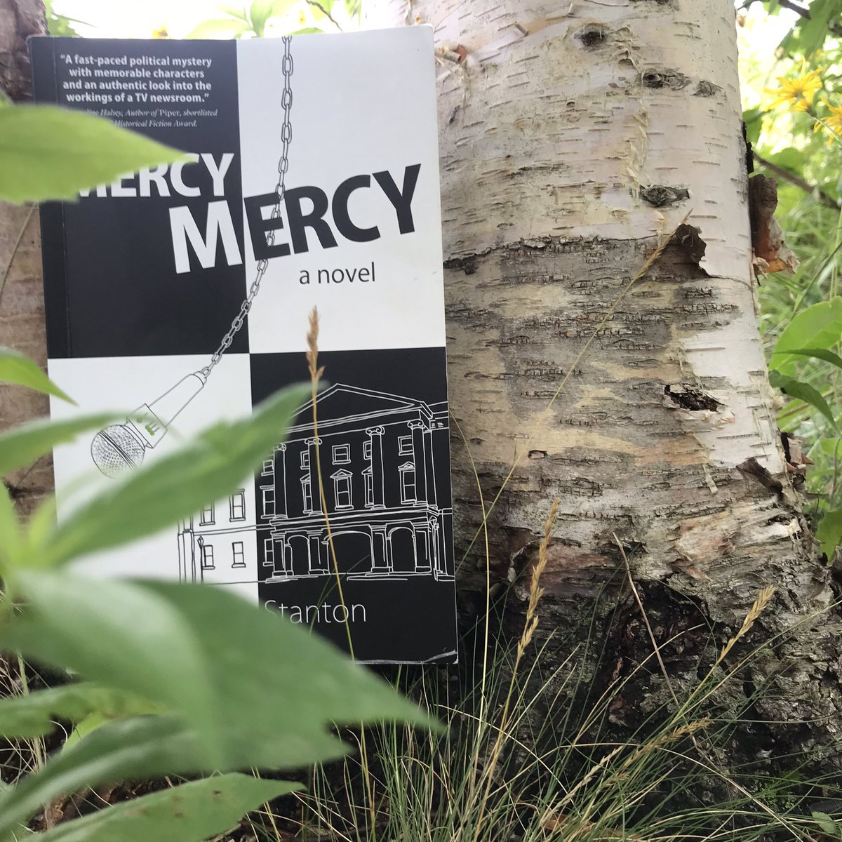 mollypowers2006's tweet photo. #digitallylit #summerreading #booktrendy #freebook https://t.co/w7JzmTaH1G