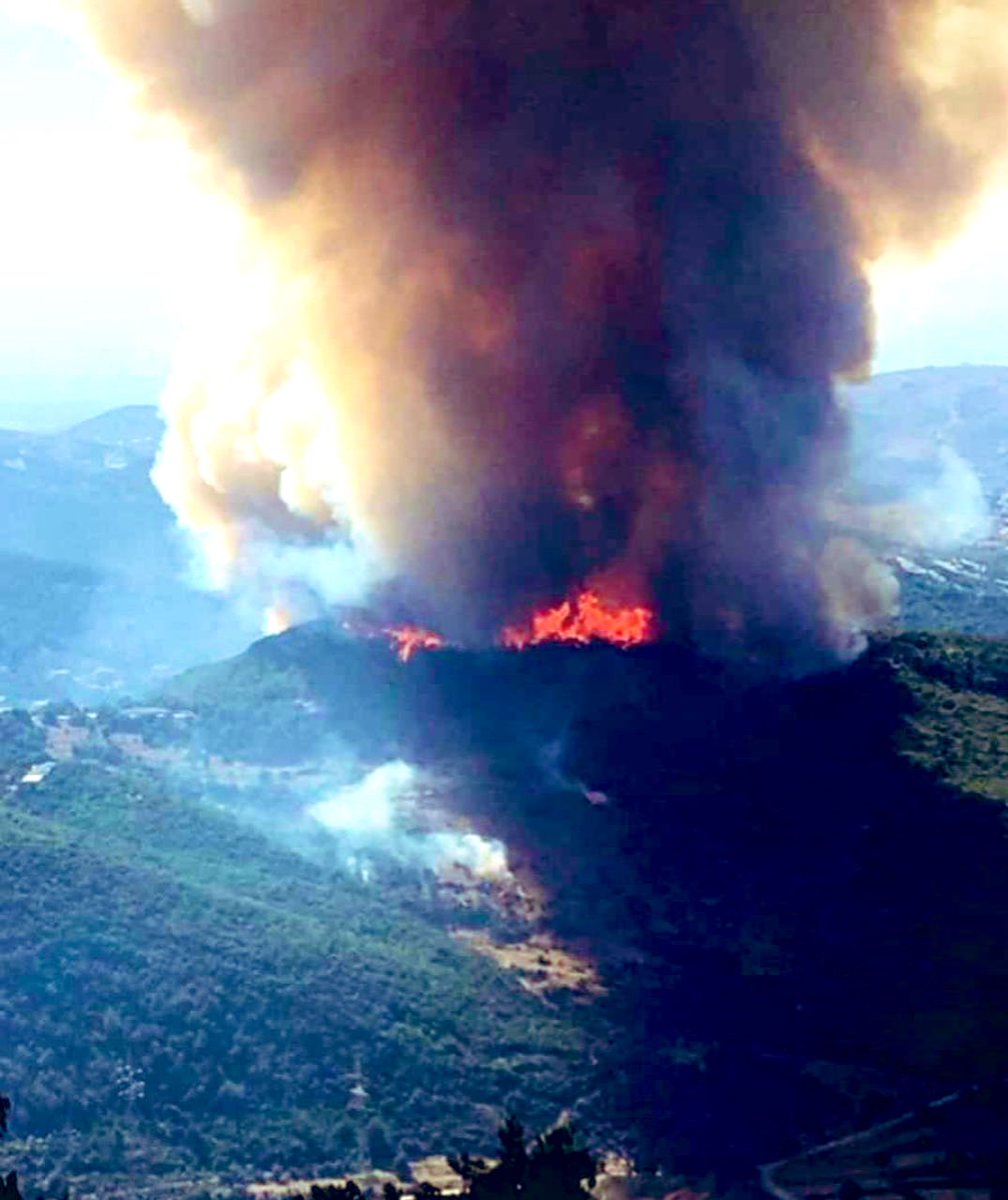 🔥 حريق #القبيات 🔥 

حتى الآن:
🚑 
^ إخلاء: ١٧
^ نقل الى المستشفى: ٢
^ إسعاف في الموقع: ٦