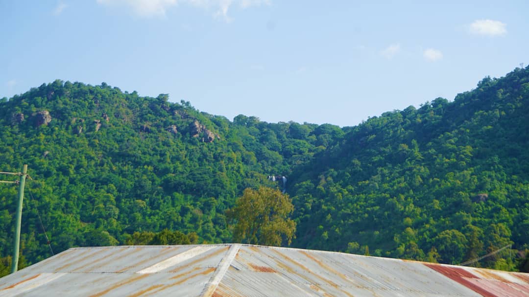 VisitEMC's tweet photo. @kip_tall captures the scenic view of Kessup, Elgeyo/Marakwet
#VisitEMC
#elgeyomarakwetcounty
#elgeyomarakwet
#beautiful
#travelkenya
#magicalkenya
#tujengekenya
#Roadtrips
#hiking
#KerioValley
#escarpment https://t.co/4WbwjxYPoJ