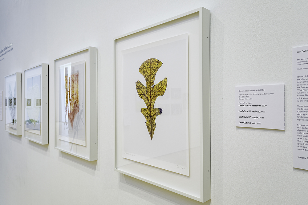 TheGundatKenyon's tweet image. Don't Miss out! This week is your last chance to see "The Art of Trees: Nearby Voices" and "The Machine in the Garden" at the Gund Gallery. The exhibitions end August 1!

#gundgallery #onviewnow #lastlook #dontwait