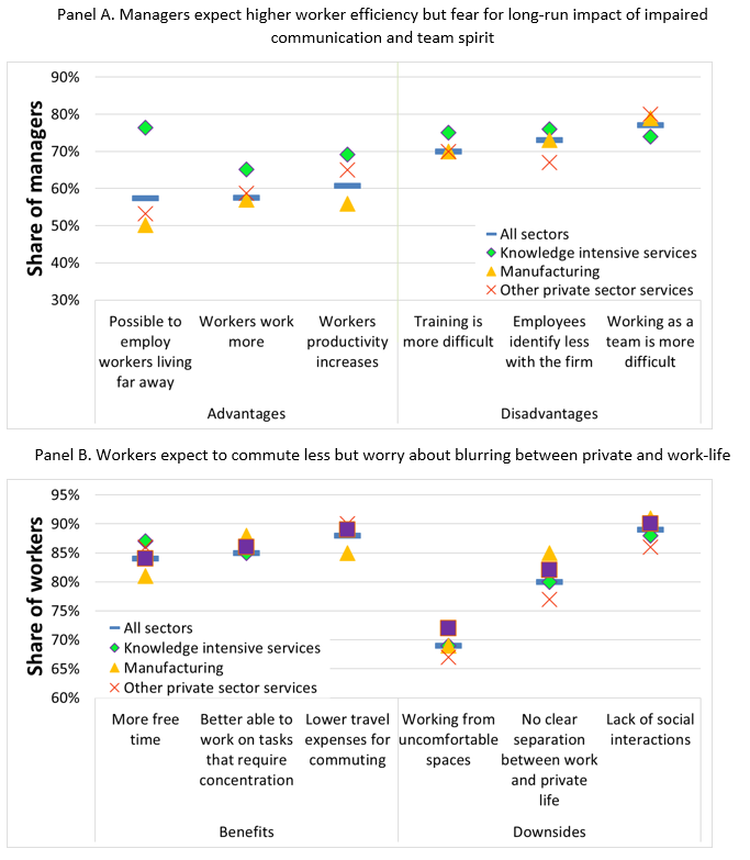 OECD Economics tweet media