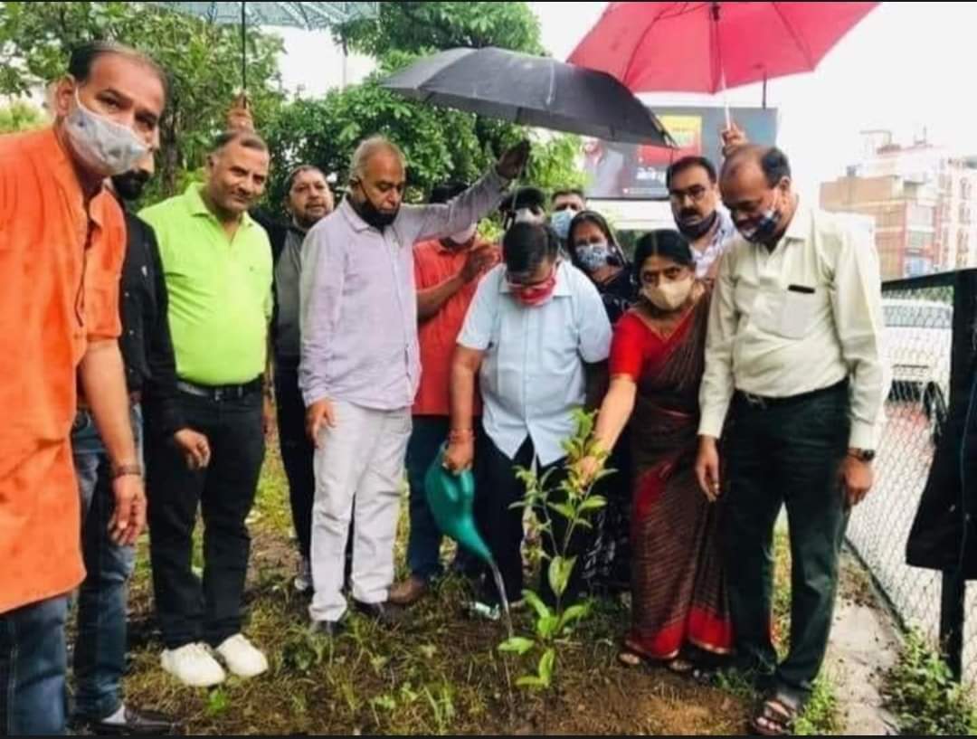 INCforUP2022's tweet photo. झमाझम बारिश हो रही हैं और यह इंसान छाता लेकर पौधे को पानी पिला रहा हैं।
सलाम हैं ऐसे लोगो को, 
सिर्फ़ भाजपाई ही इतने समझदार क्यूँ हैं?
शायद आम चूस कर खाते होंगे । https://t.co/cTezbEnRMX