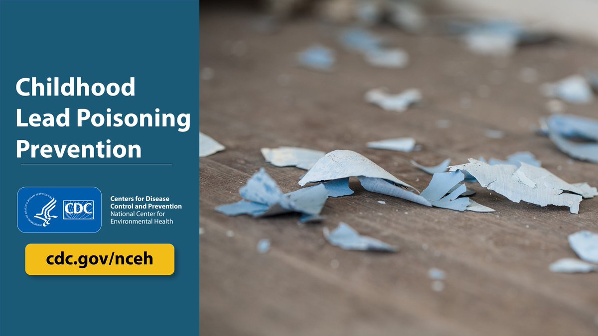 CDCEnvironment's tweet photo. Childhood #LeadPoisoning is preventable. Find out how to protect yourself and your loved ones from lead exposure. Join @CDCgov’s #EnvironmentalHealth Nexus webinar on Lead on August 4 at 1 p.m. ET. https://t.co/S2vaXP5Ptr #CDCLead30 https://t.co/gli2Qt2x4t