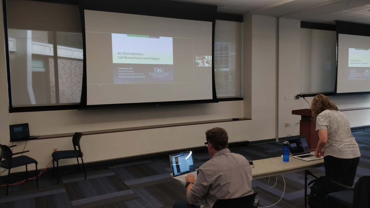 The third and last day of the hybrid DEP 2020.1 conference just started with our second remote keynote speaker Sarah Du !