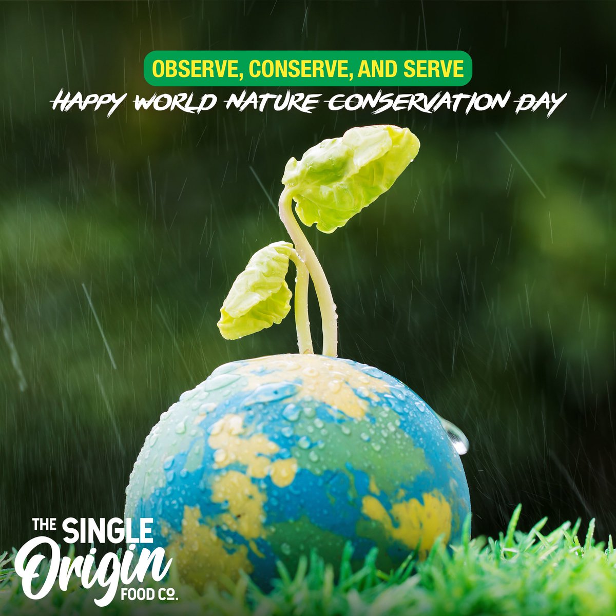 Observe our recent behavior towards nature, conserve what's left of it, and serve your purpose to help save it. It's our job to protect and conserve our shared home, after all, we only have one. Let every day be Nature Conservation Day. #WorldNatureConservationDay #GoGreen #Sofco