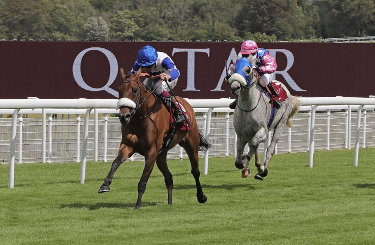 Arabian Racing Organisation (@aro_racing) on Twitter photo Read all about LADY PRINCESS <a href="/oismurphy/">Oisรญn Murphy</a> <a href="/tfourcy/">Fourcy Thomas</a> #winners #qatarinternational <a href="/Goodwood_Races/">Goodwood Racecourse</a> #QGF here ๐ conta.cc/3iW29LI๐ <a href="/afac/">afac</a> <a href="/ArabianRH/">The Arabian Racehorse</a> <a href="/itvracing/">ITV Racing</a> <a href="/RacingPost/">Racing Post</a> <a href="/SportingLife/">Sporting Life Racing</a> <a href="/TheAJClub/">Arabian Jockey Club</a> <a href="/WHR/">World Horse Racing</a> <a href="/EquineMediRec/">Equine MediRecord (EMR)</a> <a href="/Intracingbureau/">International Racing Bureau</a> ๐ธ<a href="/deborahburt1/">Debbie Burt</a> Read all about LADY PRINCESS <a href="/oismurphy/">Oisรญn Murphy</a> <a href="/tfourcy/">Fourcy Thomas</a> #winners #qatarinternational <a href="/Goodwood_Races/">Goodwood Racecourse</a> #QGF here ๐ conta.cc/3iW29LI๐ <a href="/afac/">afac</a> <a href="/ArabianRH/">The Arabian Racehorse</a> <a href="/itvracing/">ITV Racing</a> <a href="/RacingPost/">Racing Post</a> <a href="/SportingLife/">Sporting Life Racing</a> <a href="/TheAJClub/">Arabian Jockey Club</a> <a href="/WHR/">World Horse Racing</a> <a href="/EquineMediRec/">Equine MediRecord (EMR)</a> <a href="/Intracingbureau/">International Racing Bureau</a> ๐ธ<a href="/deborahburt1/">Debbie Burt</a>