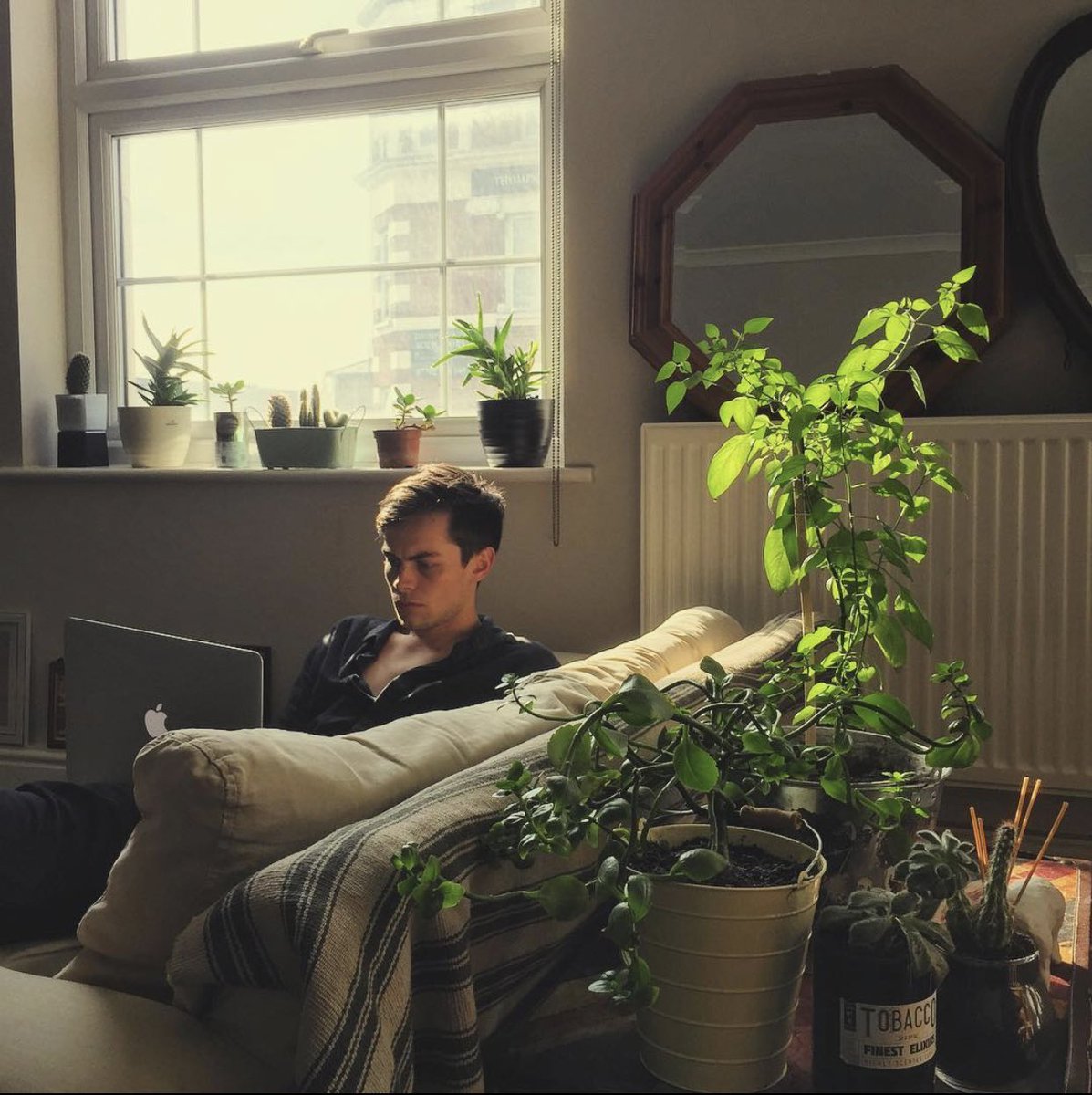 I do #openfollow for western rps, please help me by retweet/liking this tweet.

Also, look at this picture for a few seconds because i'm flexing my plants. Thanks.
