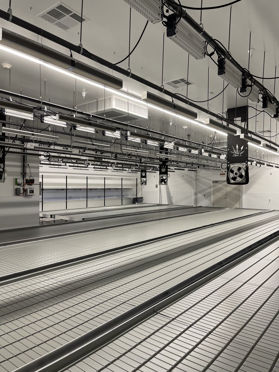 Here's a quick peek inside one of our sleek new grow rooms that's part of our Nevada cultivation expansion. 👀🔥

Also, this weekend marks Silver State's 6th anniversary as Nevada's first licensed Operator. 🌿 

#NevadasfirstNevadasbest $CXXI $CXXIF
