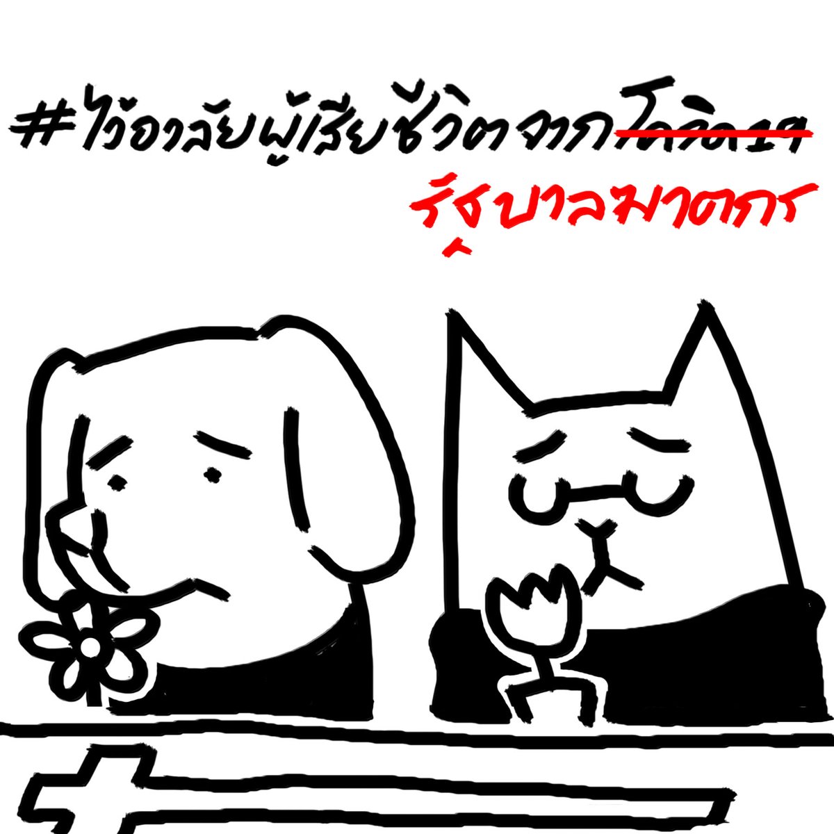 สมันหมาปัญญาแมว tweet media