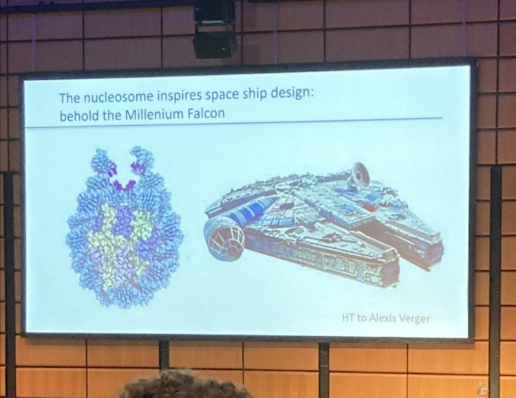 ZuzkaBednarik tweet media