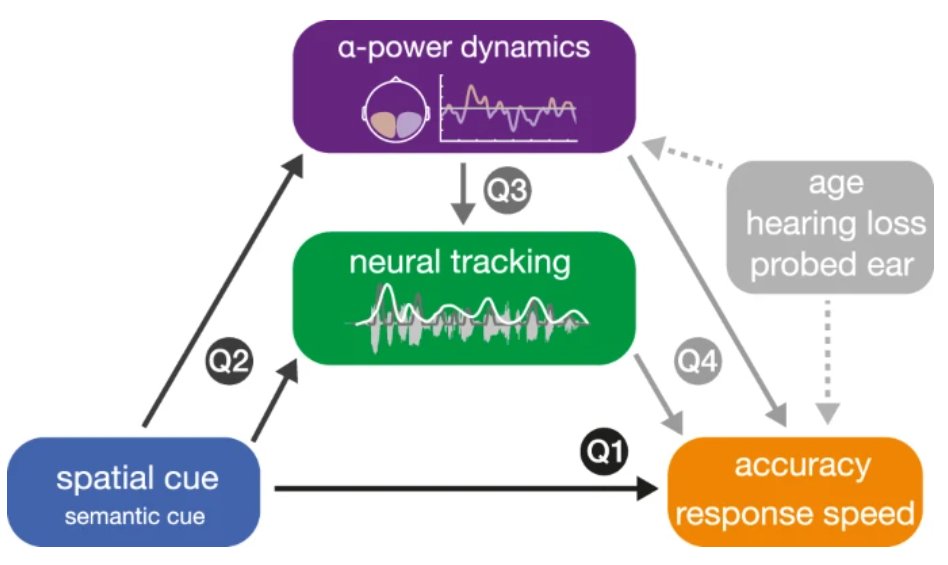 Nature Communications (@naturecomms) on Twitter photo Selective neural speech tracking is a potential neural marker of an individual’s adaptive listening behaviour, rather than lateralisation of alpha power
<a href="/sarahs_tunes/">Sarah Tune</a> <a href="/jonasobleser/">Jonas Obleser</a> <a href="/MAlavash/">Mohsen Alavash محسن علاوش @malavash.bsky.social</a> <a href="/fiedler_lorenz/">Lorenz Fiedler</a> <a href="/UniLuebeck/">Universität Lübeck</a> <a href="/ObleserLab/">Obleser Lab</a> @CBBM20 <a href="/ERC_Research/">European Research Council (ERC)</a>
nature.com/articles/s4146… Selective neural speech tracking is a potential neural marker of an individual’s adaptive listening behaviour, rather than lateralisation of alpha power
<a href="/sarahs_tunes/">Sarah Tune</a> <a href="/jonasobleser/">Jonas Obleser</a> <a href="/MAlavash/">Mohsen Alavash محسن علاوش @malavash.bsky.social</a> <a href="/fiedler_lorenz/">Lorenz Fiedler</a> <a href="/UniLuebeck/">Universität Lübeck</a> <a href="/ObleserLab/">Obleser Lab</a> @CBBM20 <a href="/ERC_Research/">European Research Council (ERC)</a>
nature.com/articles/s4146…