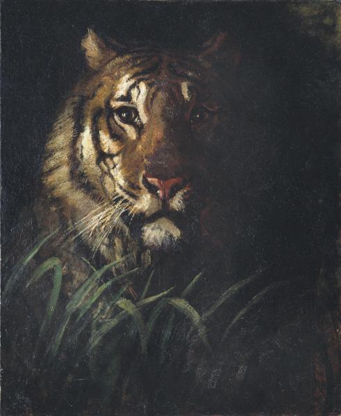 clownwtiger's tweet image. ㅤㅤㅤㅤㅤㅤㅤㅤ
          
                         tiger inside
                         a. h. thayer
                        #GWModels