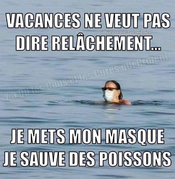 sylvieviev's tweet photo. Le summum de la bêtise 😳😳 https://t.co/UagKnbUtif