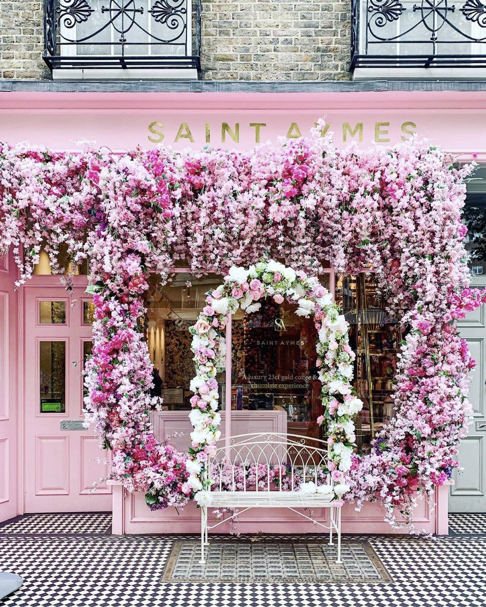 @SaintAymes looking pretty and pink as always! Visit Connaught Village and strike a pose against their famous flower display this week 😍🌸