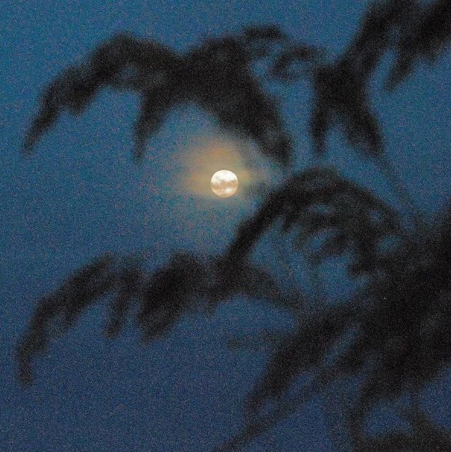 wicktarot's tweet photo. alman gereken mesaj nedir?☁️🌗

şartlar; takip, rt, mention.🐚

yeterli katılımda paylaşacağım,cevaplar hazır.🌙 https://t.co/fSixvz0pU5