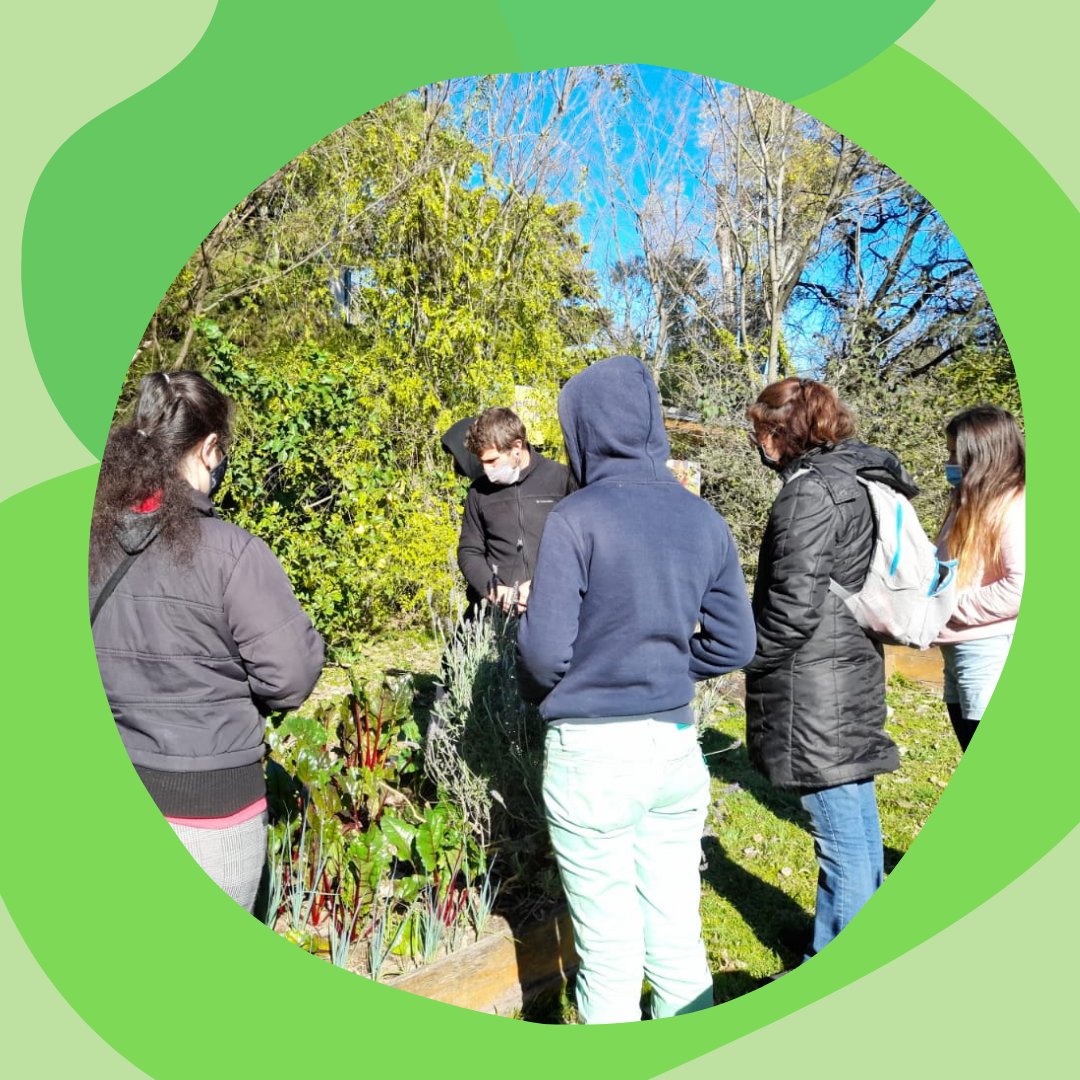 VG_organisation's tweet photo. 🌱🌱🌱 A few weeks ago the agro-ecological vegetable garden and gardening workshop returned. It takes place every Saturday morning in the community space of Comunidad Milpa. 

#communitybuilding #foodsovereignty #sustainability https://t.co/DmndnaztJq