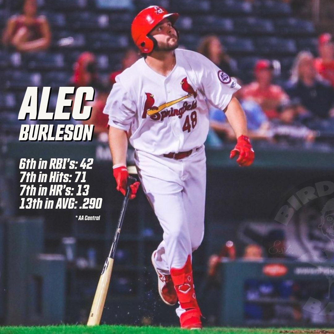 Birdman Bats (@birdmanbats) on Twitter photo The Burly Bomber is swinging it.
🧢: <a href="/alecburleson9/">Alec Burleson</a>
#SwingBirdman #TeamBirdman #BirdmanBats #BurlyBomber The Burly Bomber is swinging it.
🧢: <a href="/alecburleson9/">Alec Burleson</a>
#SwingBirdman #TeamBirdman #BirdmanBats #BurlyBomber
