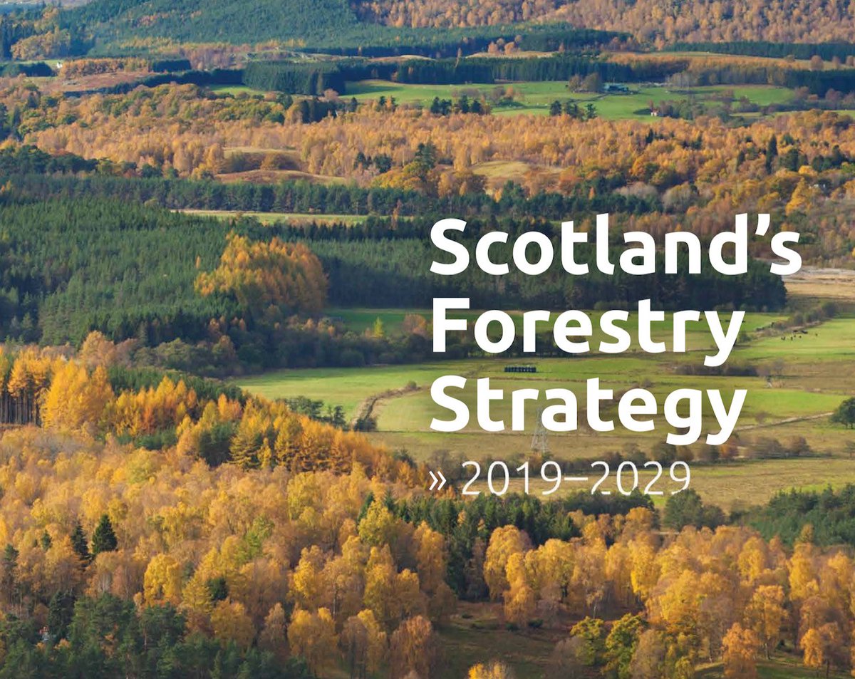 Scottish Forestry tweet media