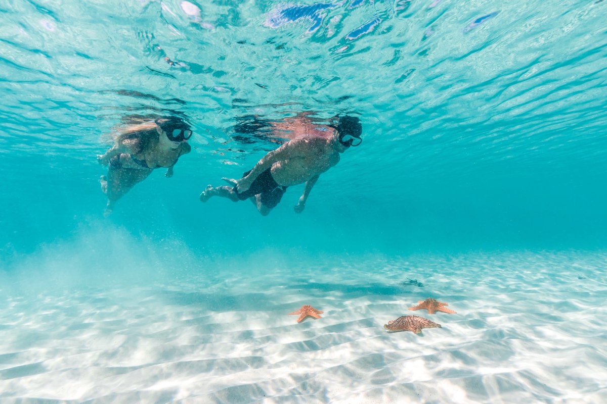 BahamasTouristOffice- Florida tweet media