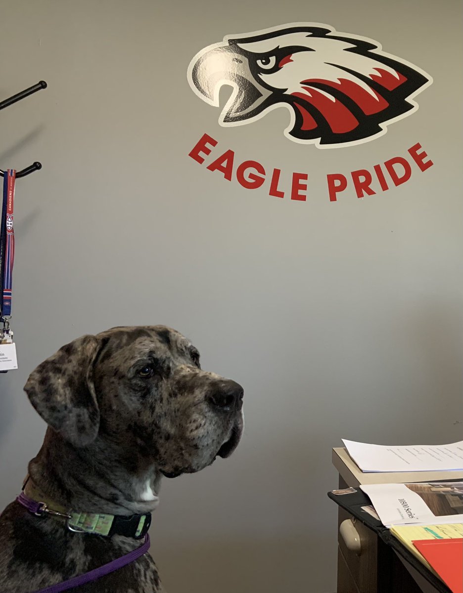 Laci Mae is proud to support students and staff at Beekmantown Central School! <a href="/PollyTavernia/">Polly Tavernia</a> <a href="/BeekmantownCSD/">Beekmantown CSD</a> <a href="/MannixDan/">Daniel W Mannix</a> <a href="/SouthRanchTim/">Tim Oleksyn</a> <a href="/DNelsonBMS/">Principal Nelson</a> <a href="/eavicencio/">Elizabeth Vicencio</a>