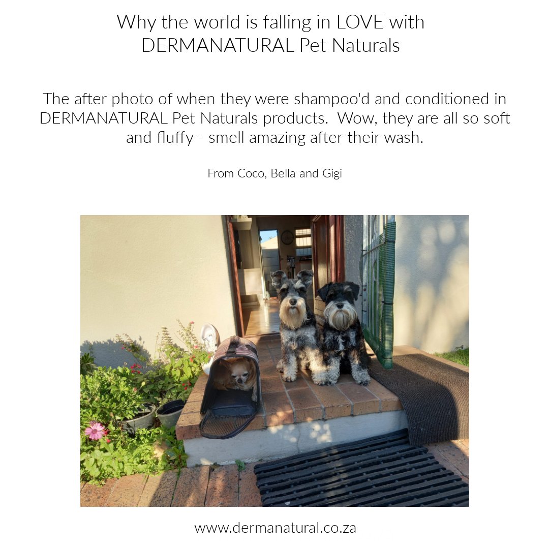 dermanaturalsa's tweet photo. 🐾🐶Why people are falling in love with DERMANATURAL Pet Natural🐶🐾
🌿🐾Review done By Helen
🐾🌿 https://t.co/0FwtPxBzeq

#Productsareavailableonthewebsite #SouthAfricawebsite #ReviewbyHelen #EcoFriendly #Biodegradable #Vegan #Sustainable #EcoFriendlyPackaging #EcoPaws https://t.co/NuFEFRXna0