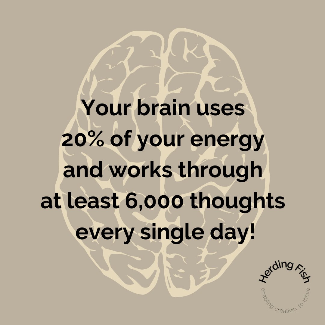 Herding_Fish's tweet image. Some days it feels like the same 6 thoughts a thousand times over... 

Coaching can help you interrupt the cycle and notice where you&apos;re tripping yourself up. 

#craftcoach #makerdevelopment #makersupport #creativitycoach