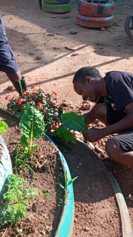 HolisticActions's tweet photo. #SM4ALL
Meet the youths in Kamwanyi enjoying the harvest from the their social mobility space. A space being funded by @dreamtownngo through @activecitizensu to provide supportive ecosystems as a necessary element for developing strong and empowered adolescents https://t.co/9BGAGR8iKv