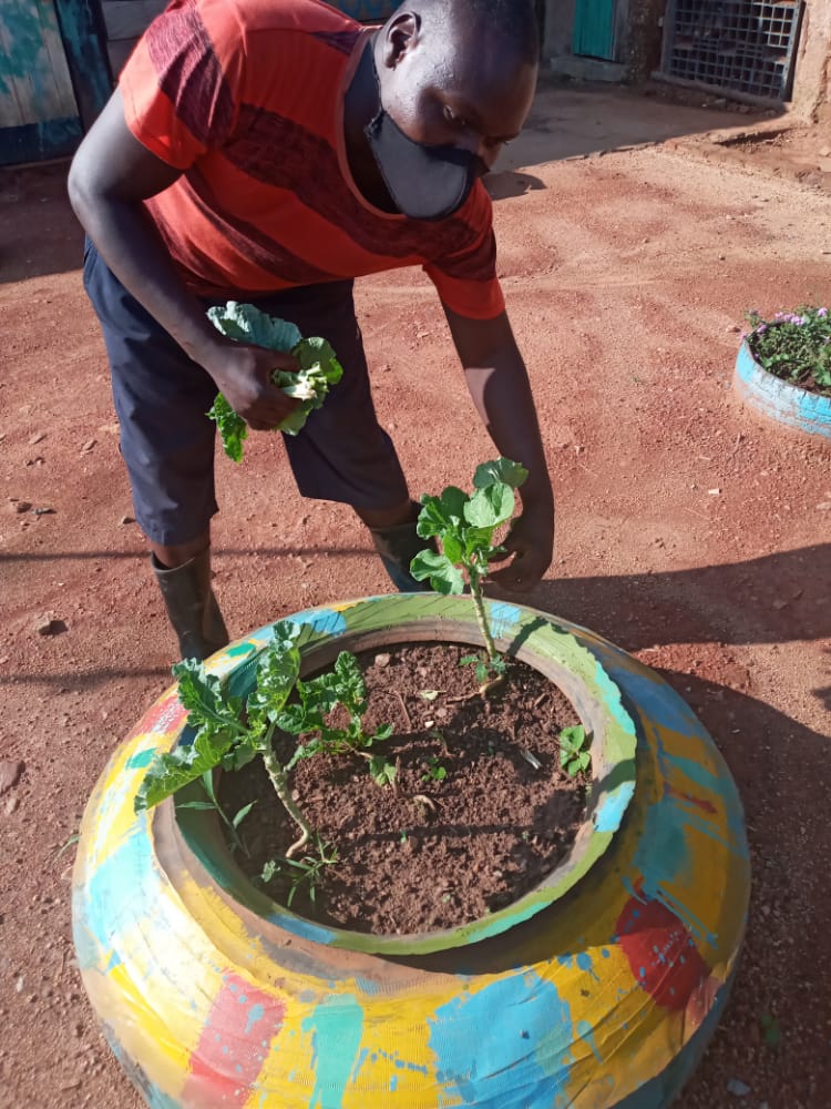 HolisticActions's tweet photo. #SM4ALL
Meet the youths in Kamwanyi enjoying the harvest from the their social mobility space. A space being funded by @dreamtownngo through @activecitizensu to provide supportive ecosystems as a necessary element for developing strong and empowered adolescents https://t.co/9BGAGR8iKv
