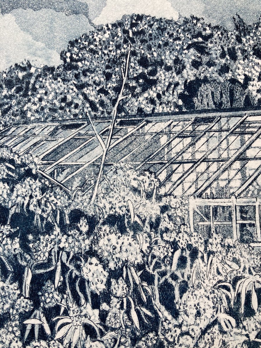 janisgoodman's tweet photo. #etching #aquatint #callygardens #firstprints New etching now printed with aquatint, seeks name. It’s of the dilapidated vinery at Cally Gardens and I want to call it something hopeful, though “Beyond Repair?” keeps coming to mind. All thoughts very welcome…. https://t.co/PuwgZAXCKY