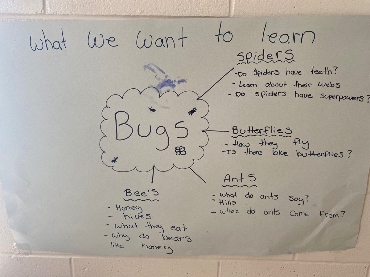 KCycay's tweet photo. Allowing children to take the lead in their learning. They have decided they would like to learn about bugs. My favourite question is “ Do spiders have superpowers”. #preschool #playandexploration #ece https://t.co/mMyfamnPPZ