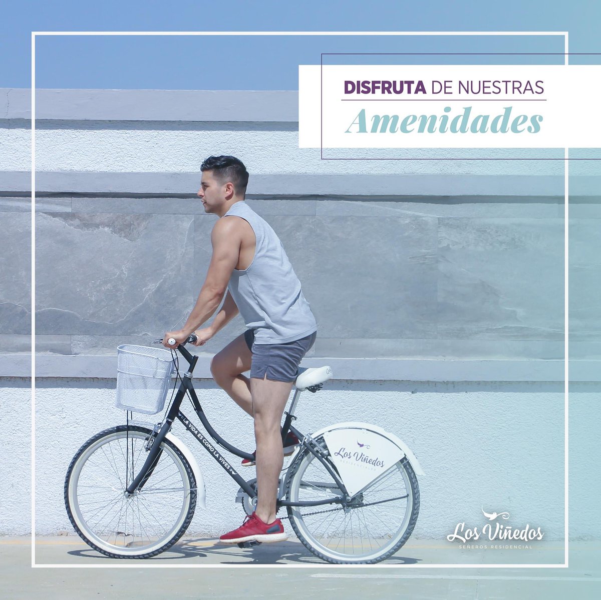 vlvnegocios's tweet photo. #Publicidad #PublicidadAlternativa #Marketing #Promoción #CampañasPublicitarias #PresenciaDeMarca #Activaciones #Eventos #Modelos #Models #MexicanModels #Foto #Video #Edición #BTL #BTLAgency #TalentAgency #Pachuca #Hidalgo https://t.co/O0cmr3Q3Mx